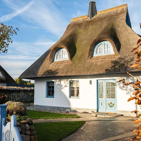 Haubenlerche, Prázdninový dům Fuhlendorf (Mecklenburg-Vorpommern)
